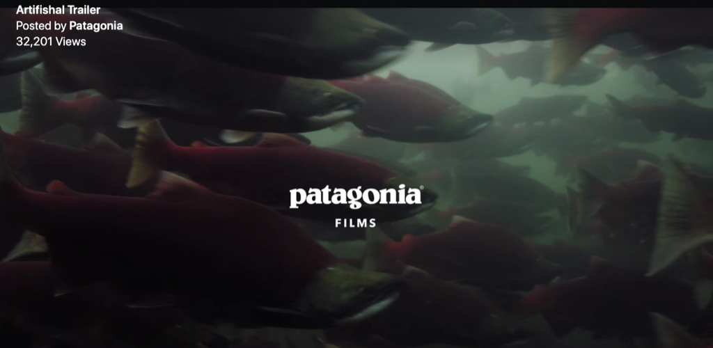 Patagonia's new film Artifishal