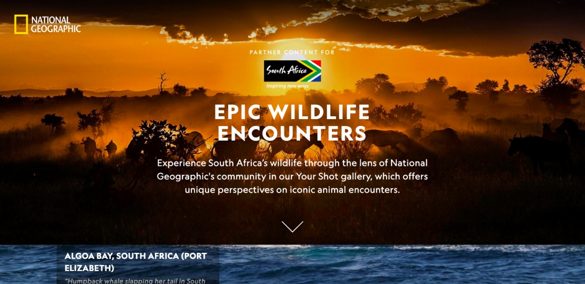 South Africa-nationalgeographic.com-branded-native-content-9675